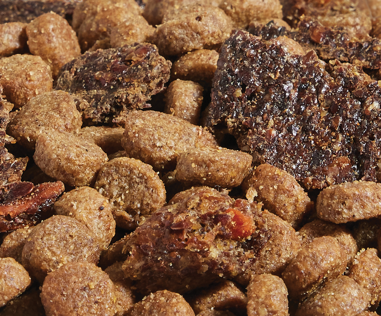Epic Blend Salmon & Superfood Grain-Free Dog Kibble