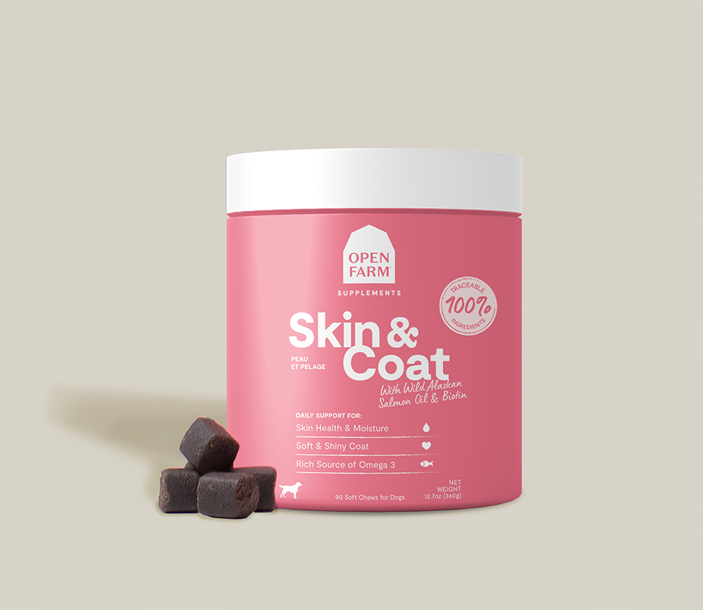 Skin & Coat Food Supplement Chews for Dogs