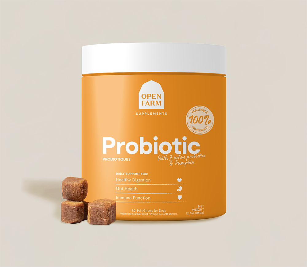 Probiotic Food Supplement Chews for Dogs