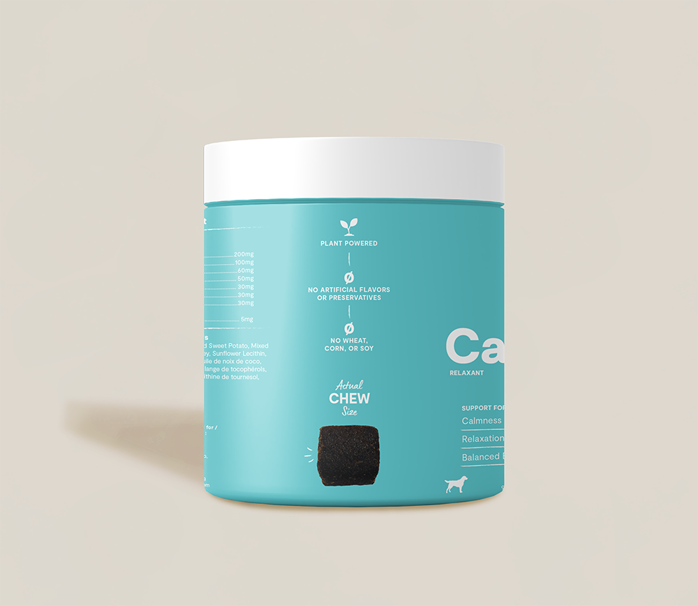 Calming Health Supplement Chews for Dogs