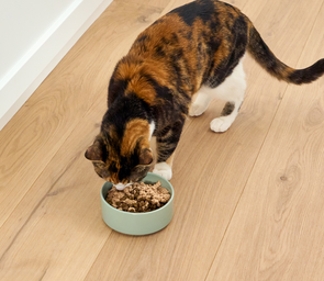 Fish Toppers Variety Pack for Cats