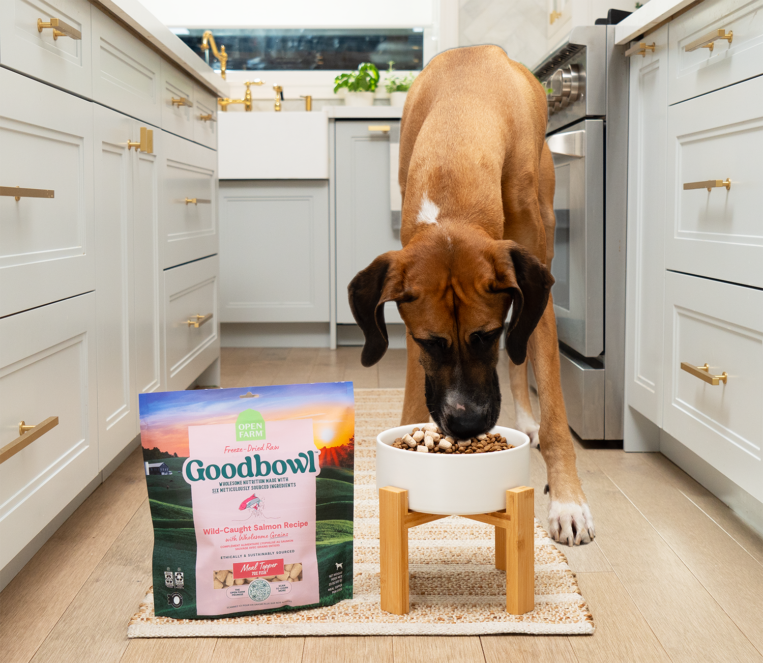 Goodbowl™ Freeze Dried Raw Variety Pack for Dogs
