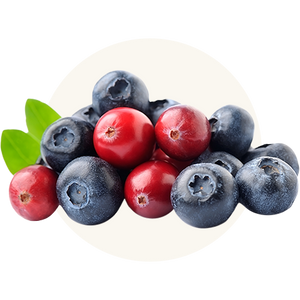 Organic Cranberries and Blueberries