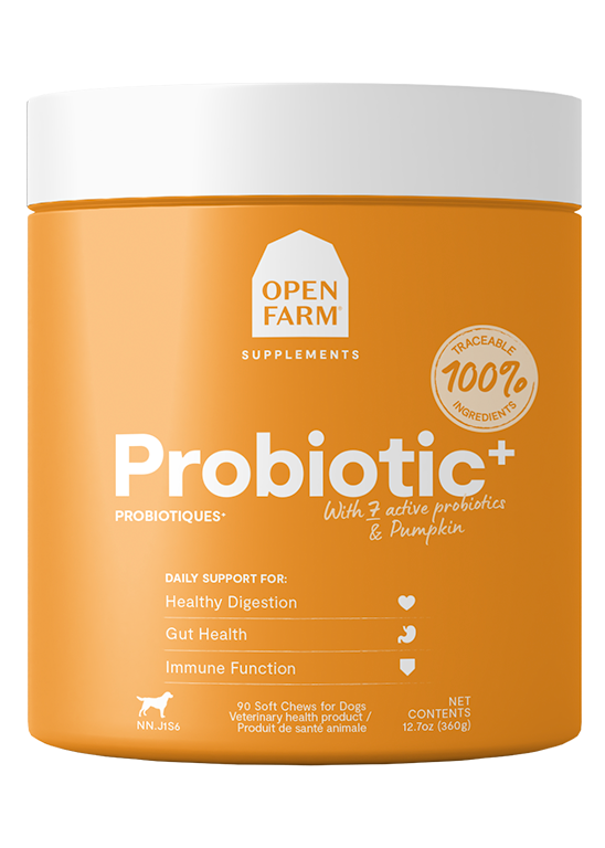 Supplément probiotique à mâcher pour chiens