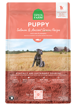 Salmon & Ancient Grains Puppy Kibble