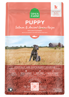 Salmon & Ancient Grains Puppy Kibble