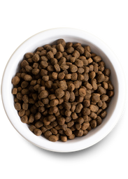 Salmon & Sweet Potato Grain-Free Puppy Food