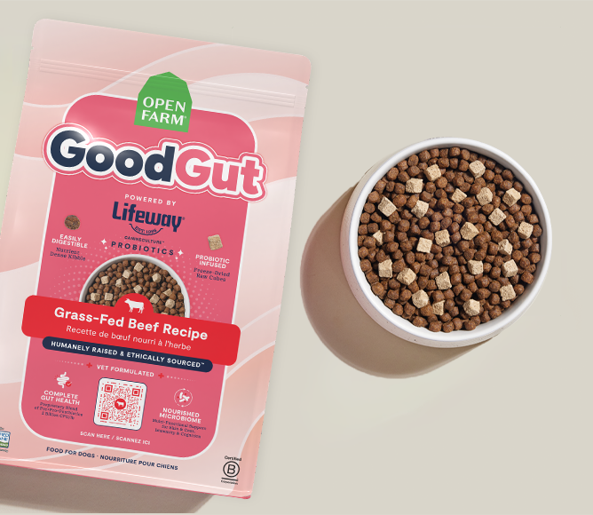 GoodGut Grass Fed Beef Dog Kibble