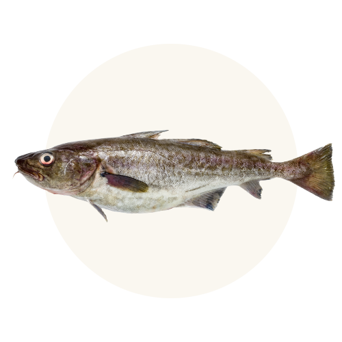 Wild-caught cod