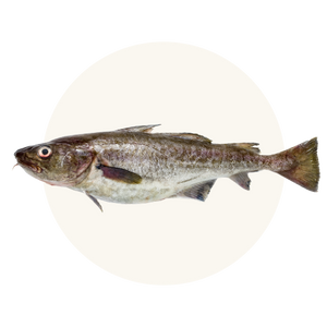 Wild-caught cod