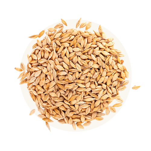 Non-GMO whole-grain barley