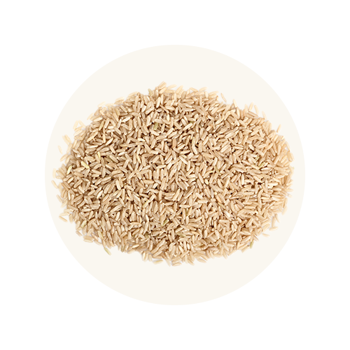 Non-GMO brown rice