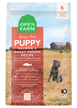 Salmon Grain-Free Puppy Kibble