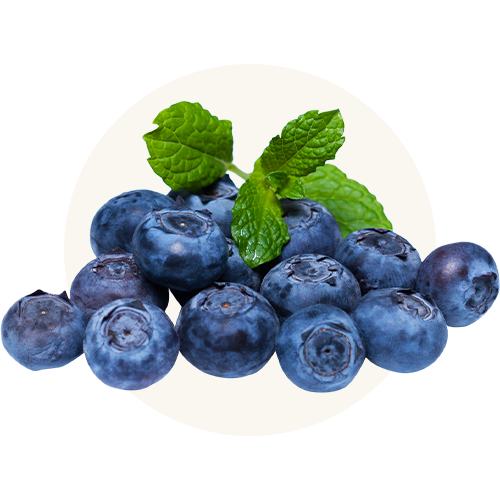 Non-GMO blueberries
