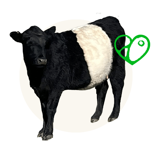 Pasture-raised, grass-fed beef liver
