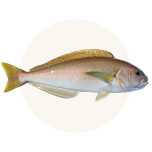 Ocean Wise® Recommended Whitefish