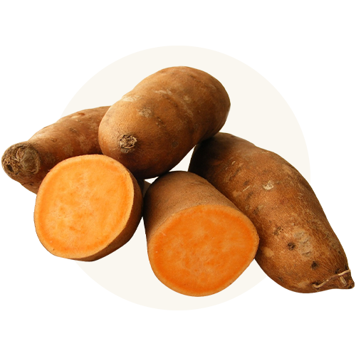 Non-GMO sweet potatoes