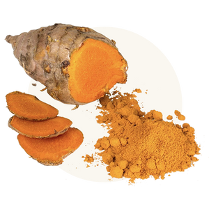 Turmeric