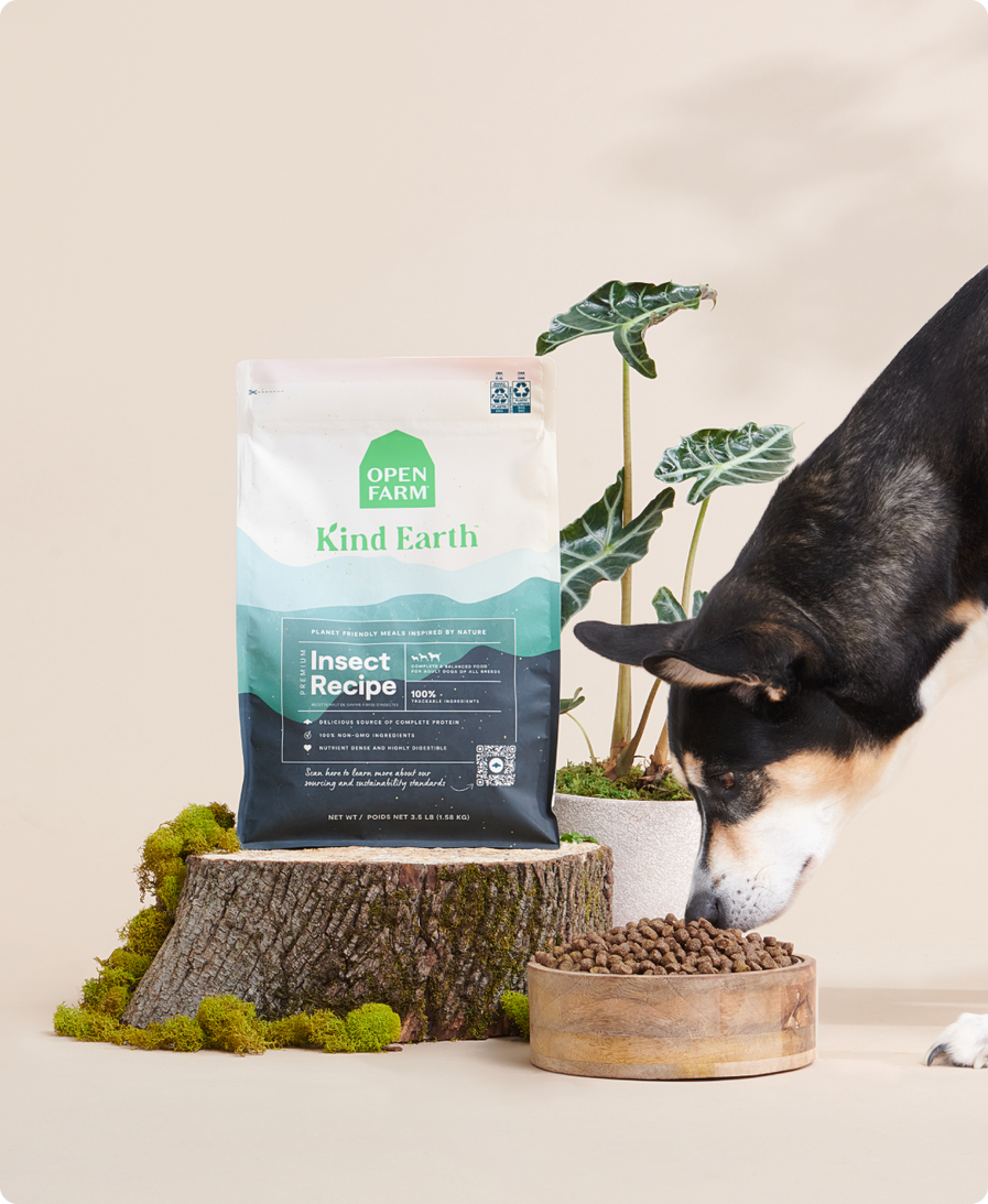 Kind Earth Premium Insect Dry Dog Food