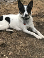 Penny