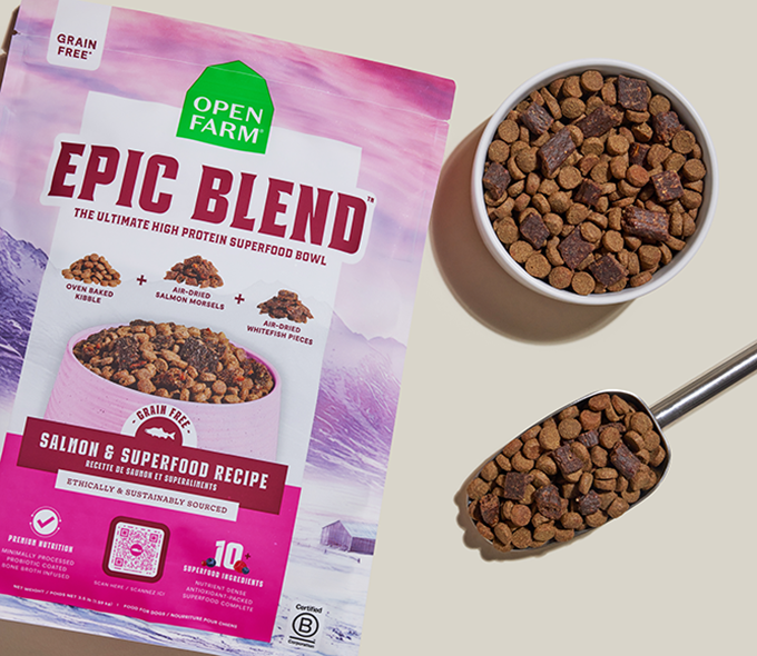 Epic Blend Salmon & Superfood Grain-Free Dog Kibble