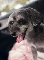 Skye