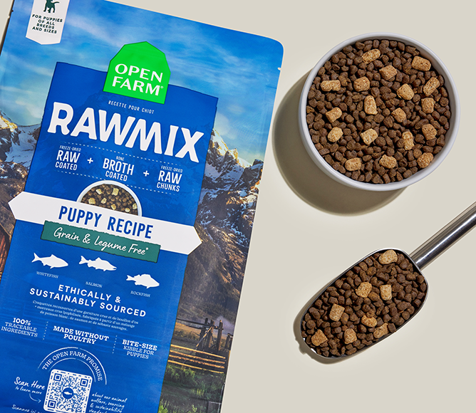 RawMix Grain-Free Puppy Kibble