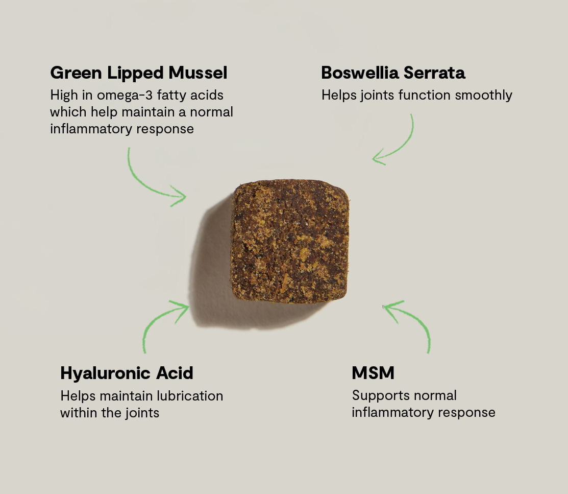 Hip & Joint Supplement Chews for Dogs