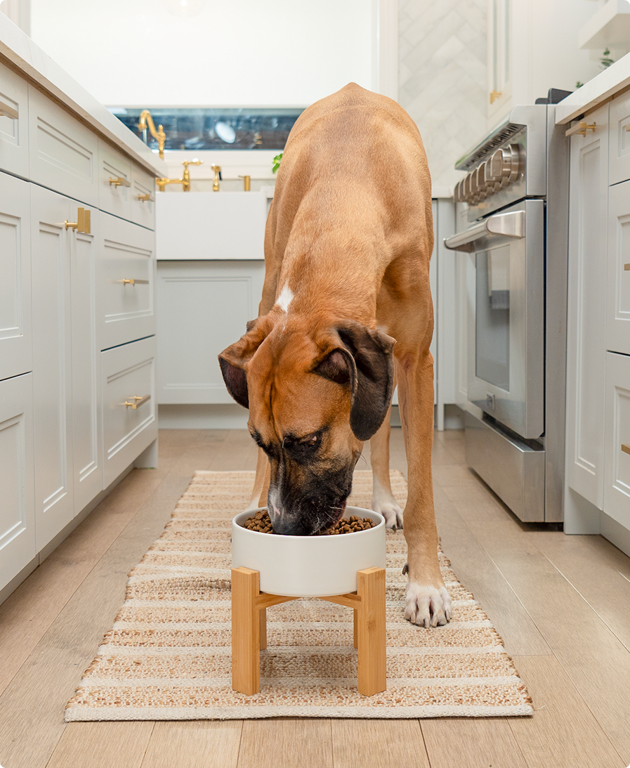 Goodbowl™ Harvest Chicken & Brown Rice Recipe for Dogs