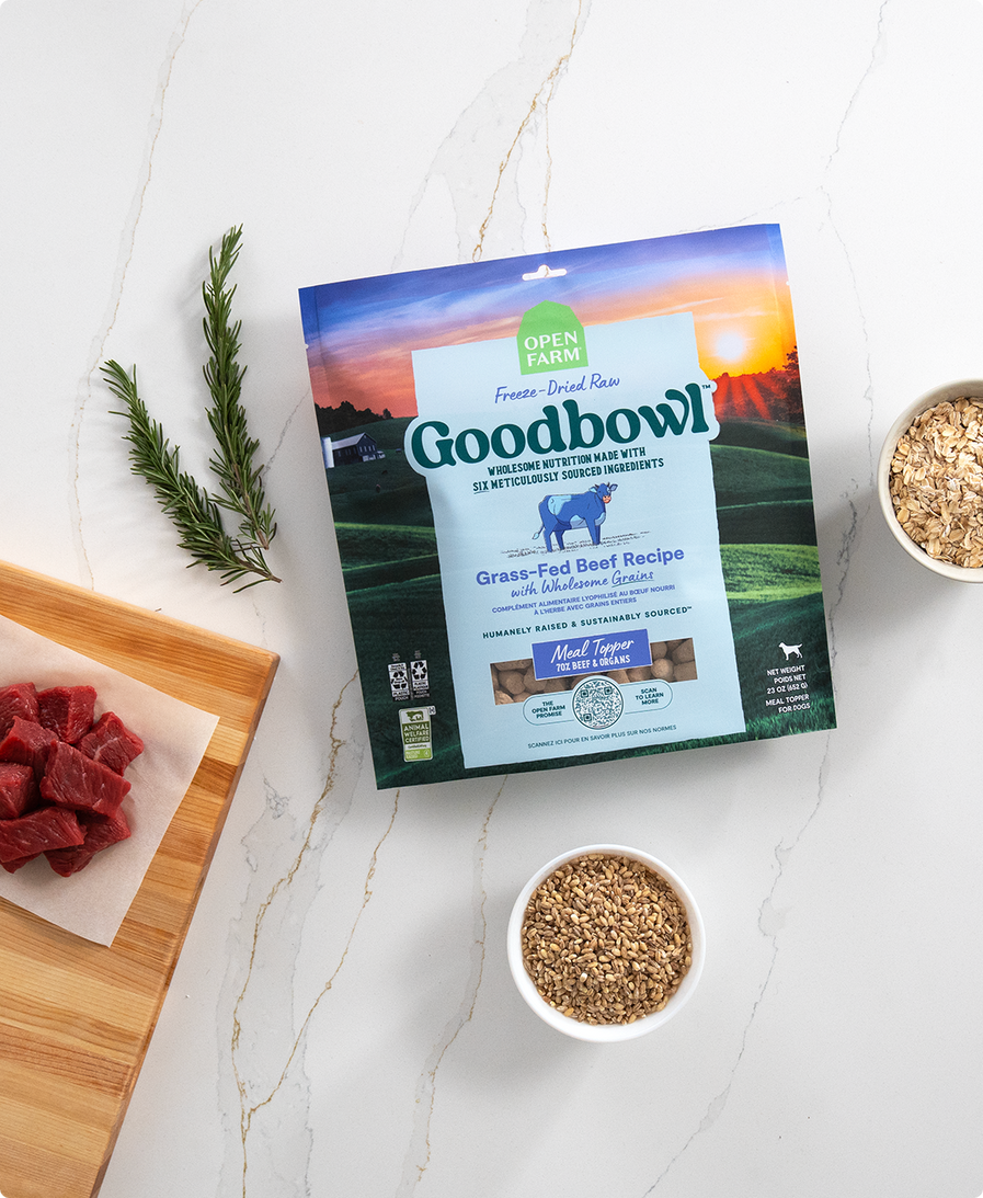 Goodbowl™ Grass-Fed Beef Recipe Freeze Dried Raw Topper