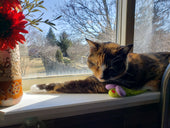 Tilly
