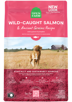 Wild-Caught Salmon & Ancient Grains Dry Dog Food