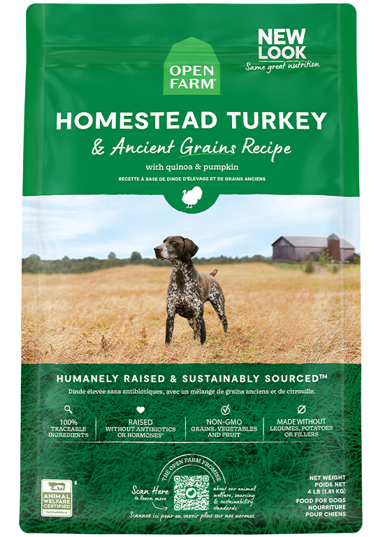 Homestead Turkey & Ancient Grains Dry Dog Food