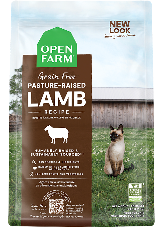 Pasture-Raised Lamb Dry Cat Food