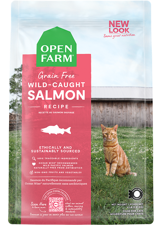 Wild-Caught Salmon Dry Cat Food