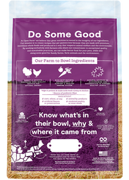 Senior Grain-Free Dry Dog Food