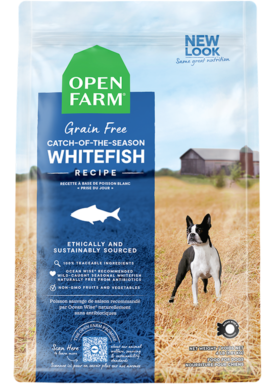 Catch-of-the-Season Whitefish Grain-Free Dry Dog Food