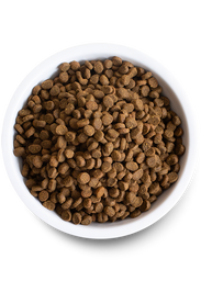 Wild-Caught Salmon Dry Cat Food